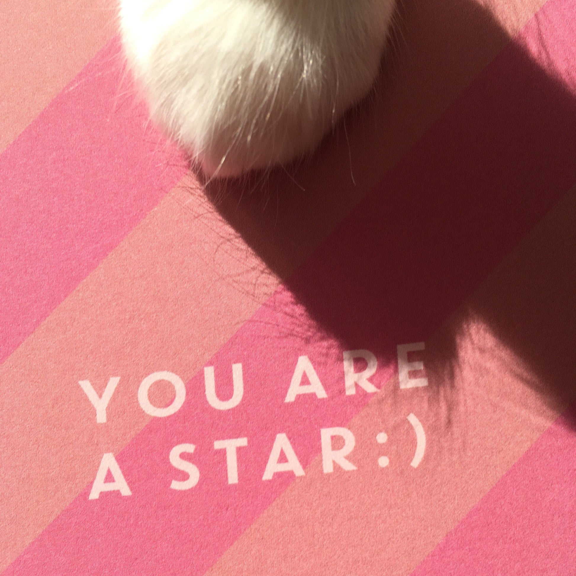 You are a Star - The Paper People Greeting Cards